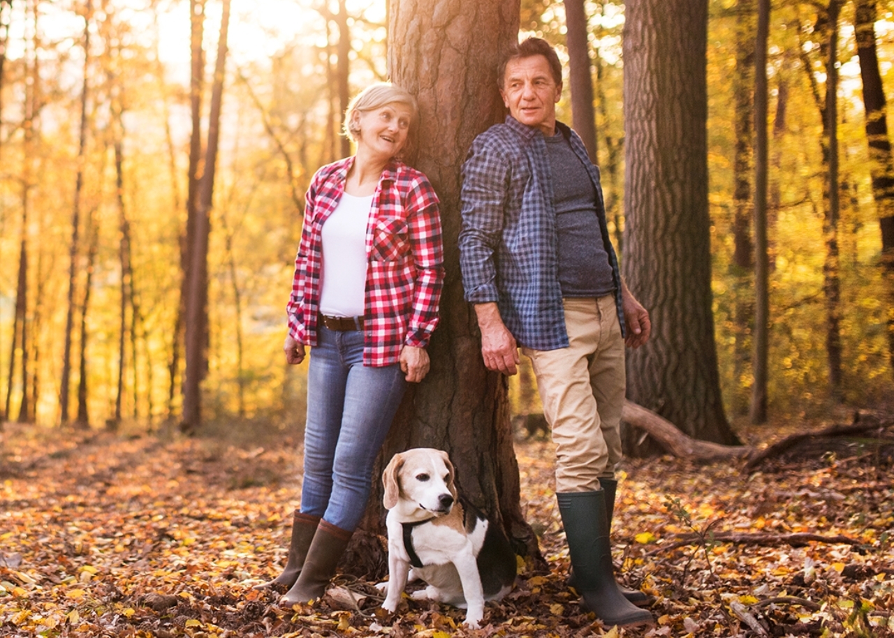 Senior couple with dog on a walk in an autumn forest